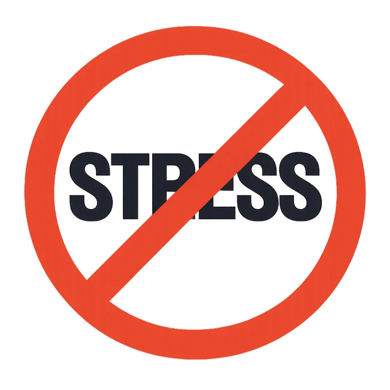 Smartphone Schritt für Schritt lernen ohne Stress